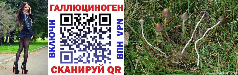 ОМГ ОМГ ТОР  купить наркотик  Горячеводский  Галлюциногенные грибы Magic Shrooms 